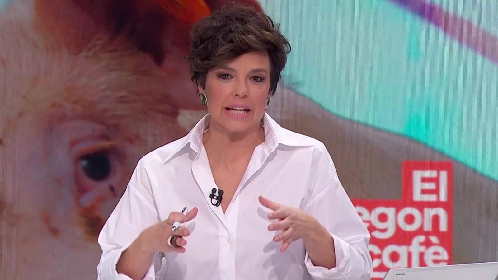 Sida, emissions i pesta porcina - El segon cafè - El segon cafè | Veure