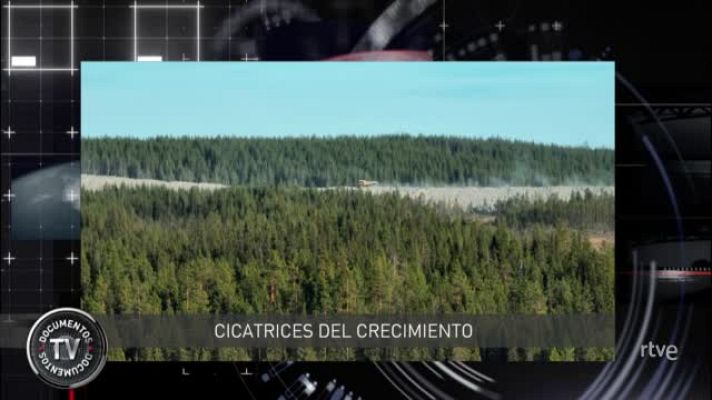  - directo_cms_rtve_DCTV_CICATRICES_DEL_CRECIMIENTO_REDES_CON_AUDIO_MIX_xcode_mix_2313_23_10_01_12_2025_154201