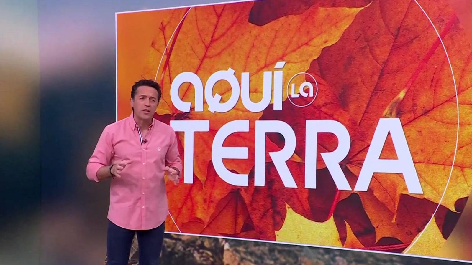 Truites, bombó d'algues i panettone - Aquí la Terra - Aquí la Terra | Veure