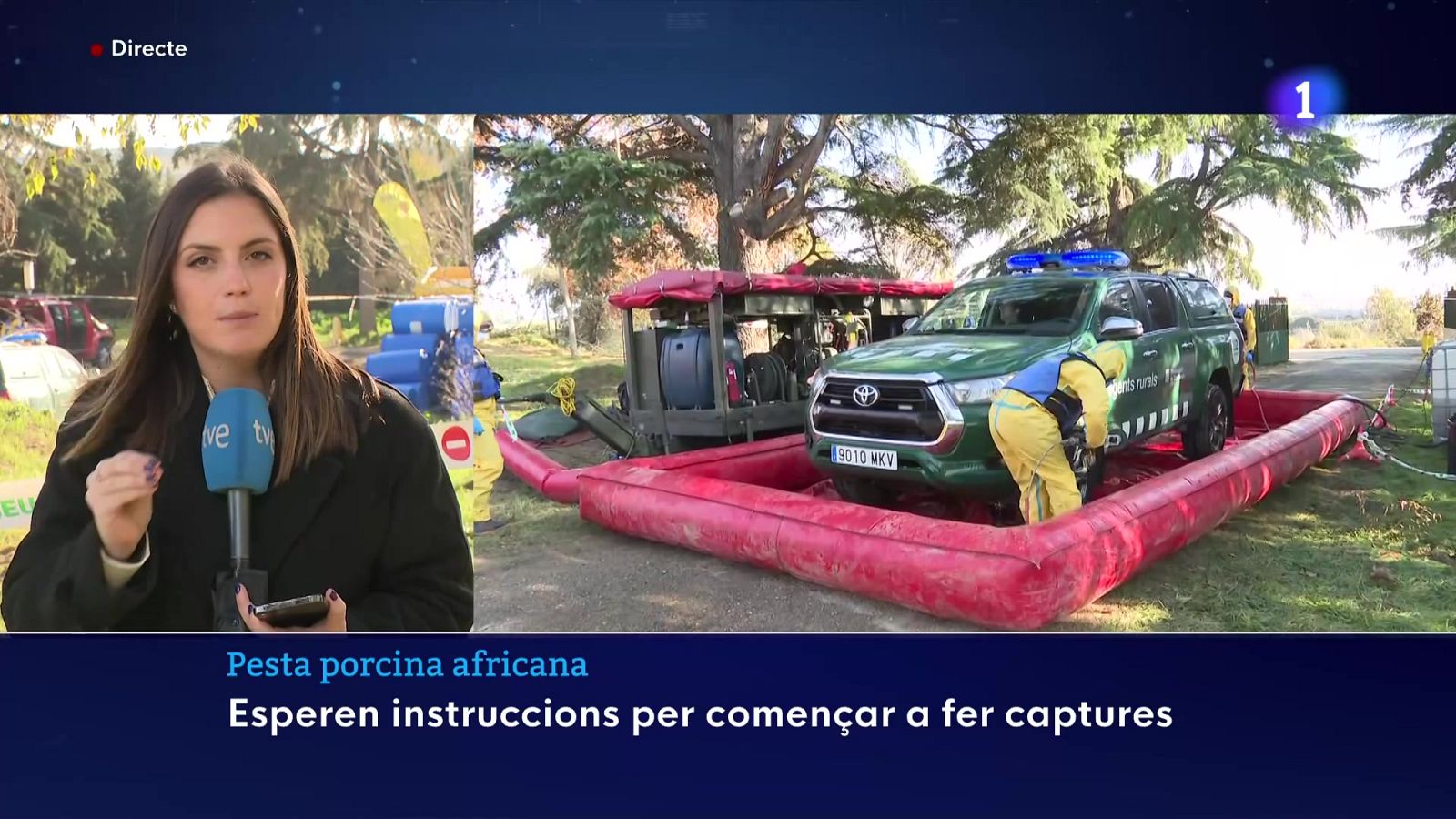 Agents rurals, a l'espera de poder fer captures de porcs senglars