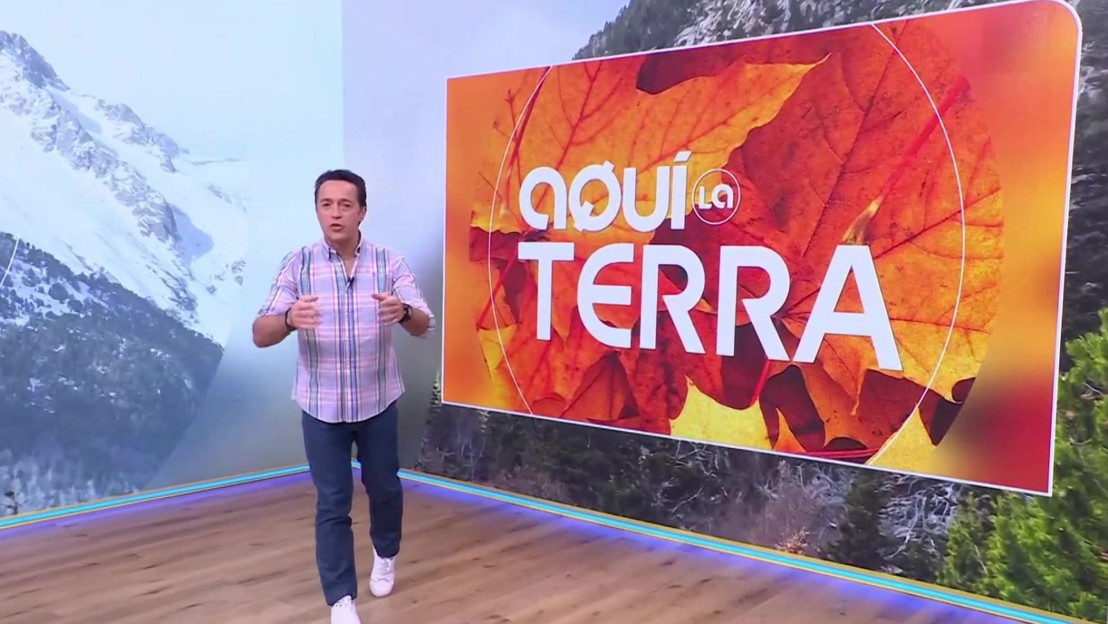 Apicultura, tradició lletera i paelles - Aquí la terra - Aquí la Terra | Veure