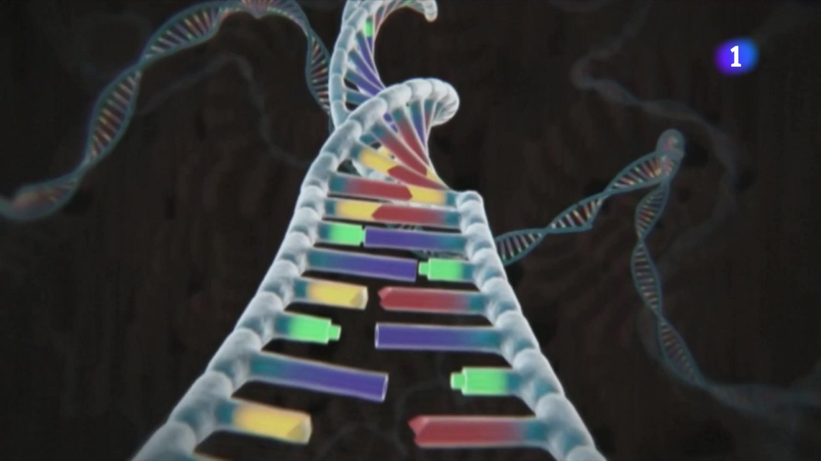 Els mapes genètics, claus per entendre i tractar malalties - L'Informatiu | Veure