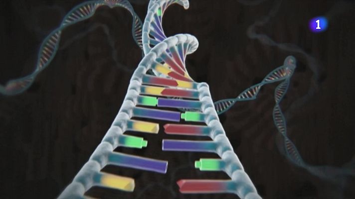 L'Informatiu - Els mapes genètics, claus per entendre i tractar malalties