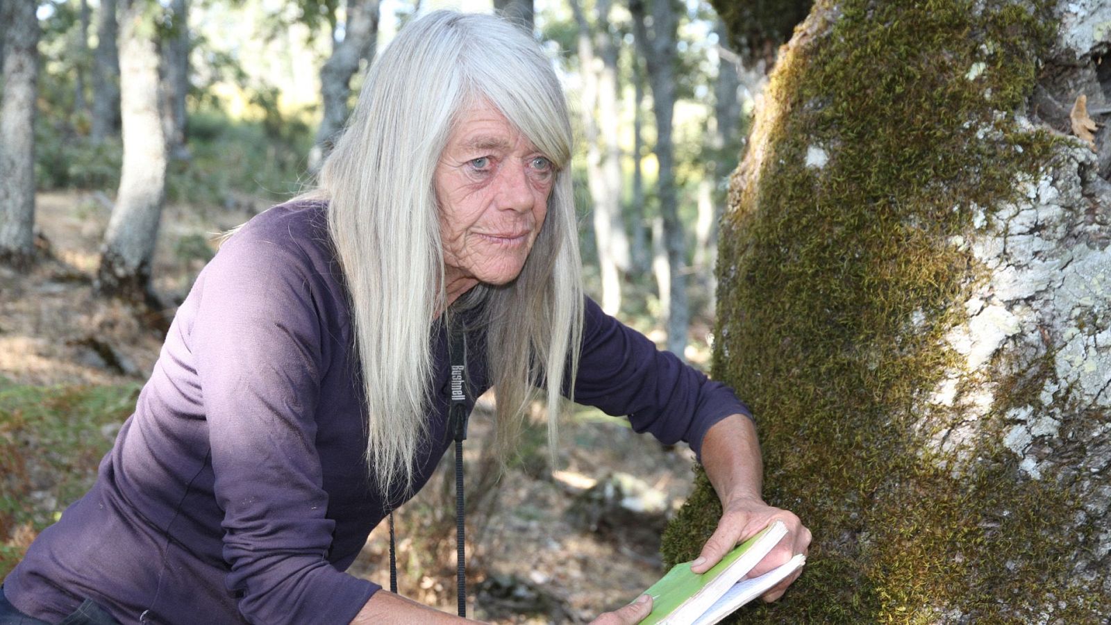 Salvajes - Episodio 2 - Salvajes | Ver