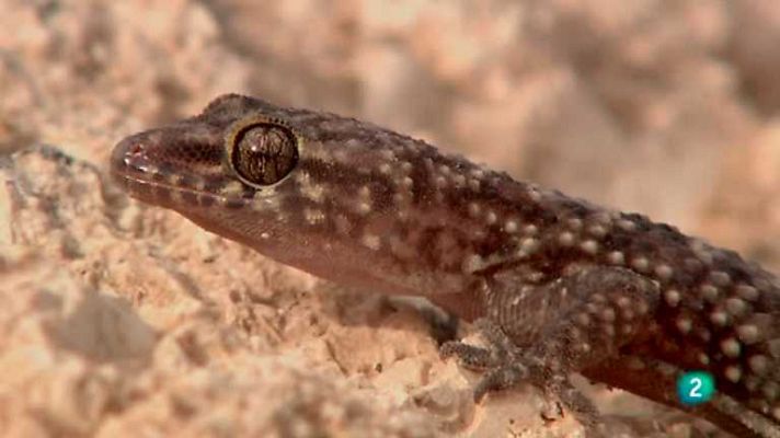 Biodiario - Biodiario - 06/02/13