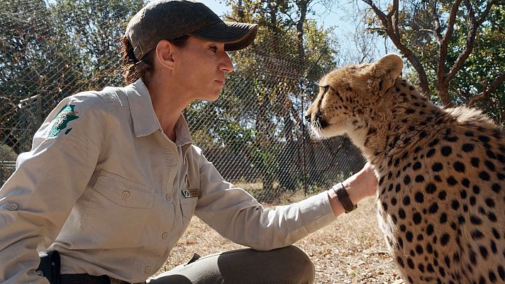 Mañaneros 360 - 'Dra. Fabiola Jones', hoy, estreno en La 1