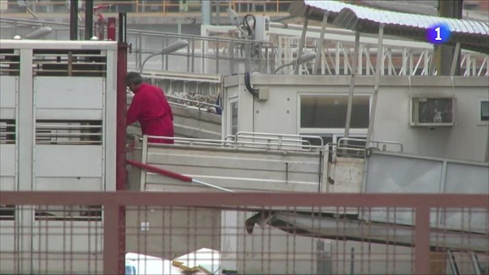 L'Informatiu - Osona es queda fora de les restriccions de la UE per la pesta porcina