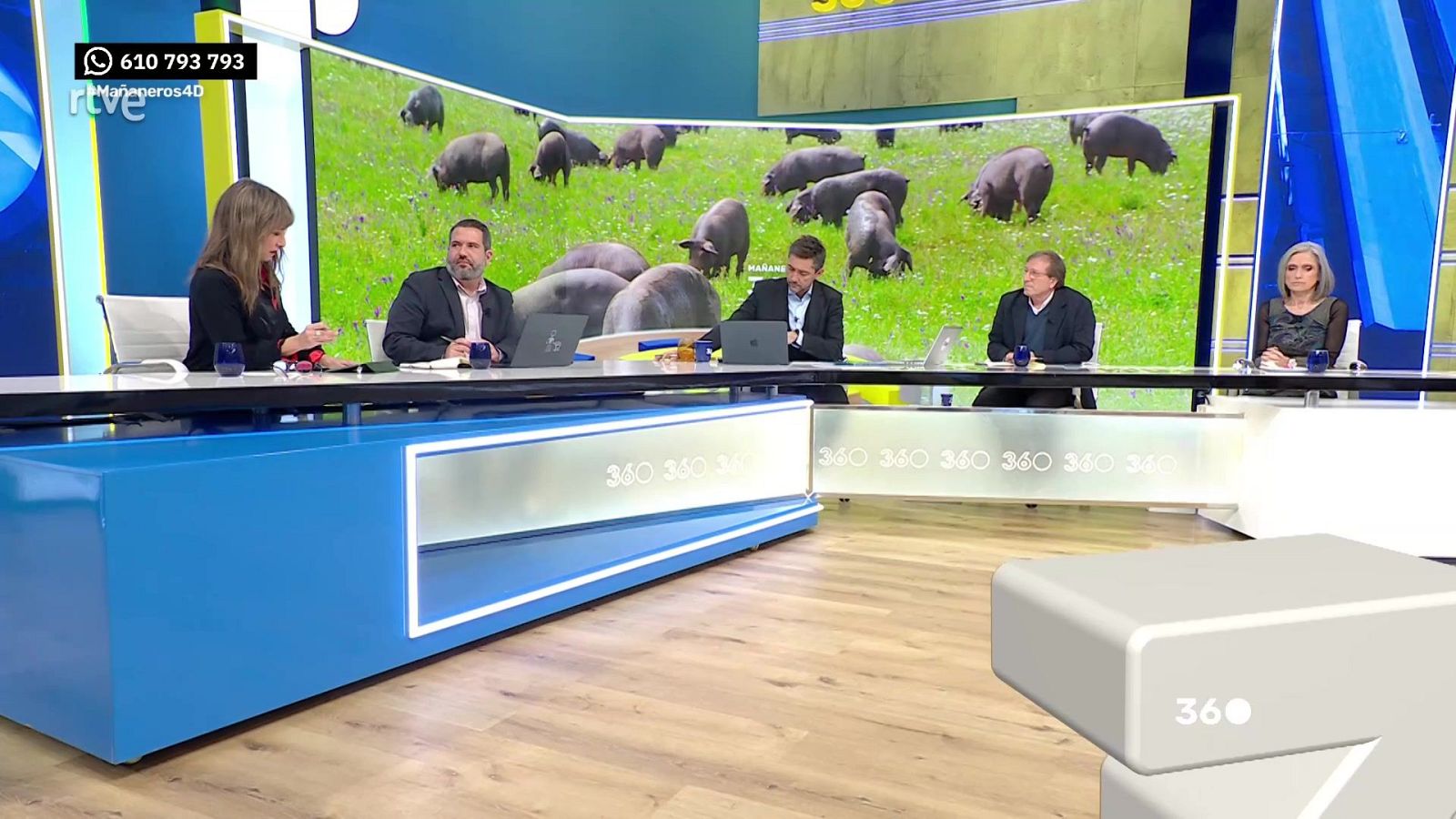 Mañaneros 360 - Programa 561 | Ver