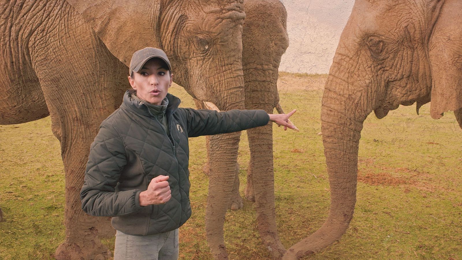 {lastMultimedia.title}}