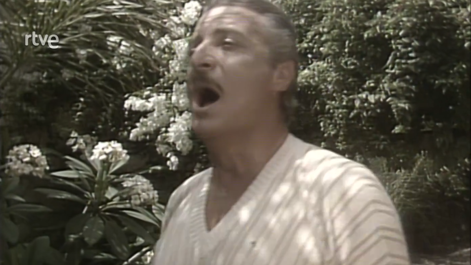 Un país de sagitario - 27/12/1984 - Programas y Concursos en el Archivo de RTVE | Ver