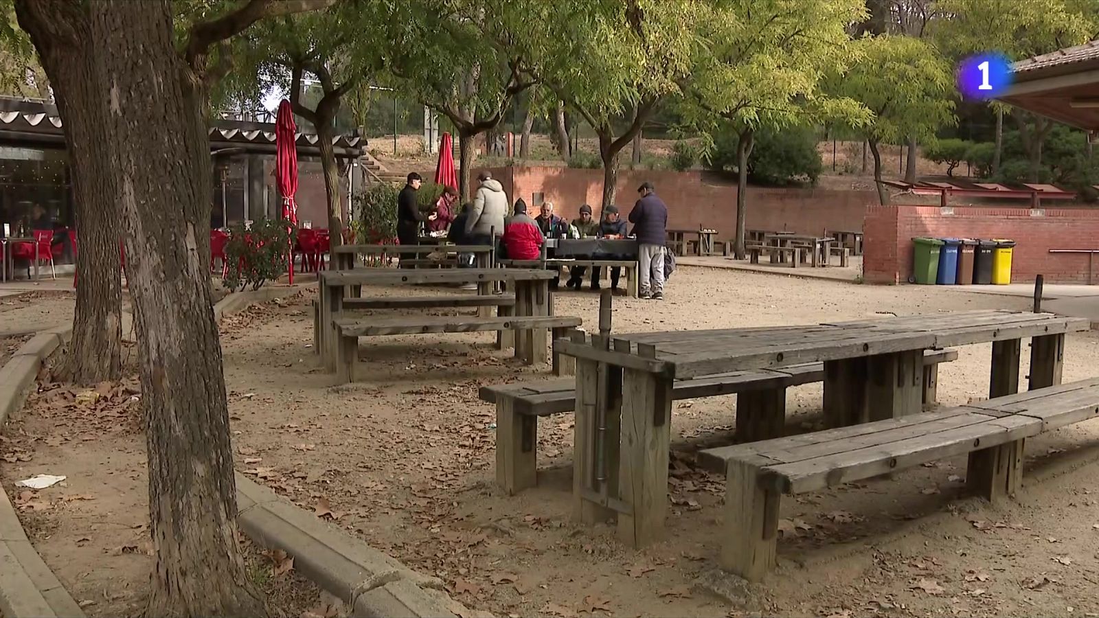 La Generalitat prepara ajudes per als afectats pel brot a Collserola - L'Informatiu | Veure