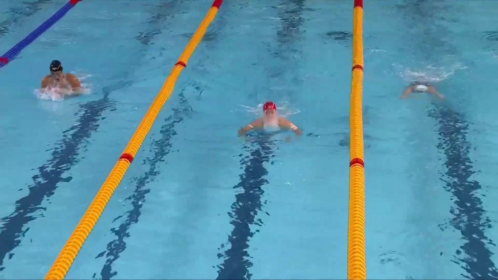 Natación - Campeonato de Europa de piscina corta. Sesión matinal. Series preliminares - Natación | Ver