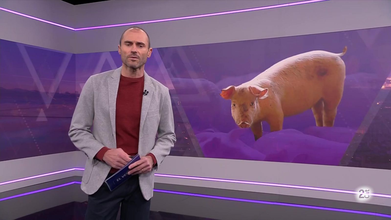 El Vespre - 04/12/2025 - El Vespre | Veure