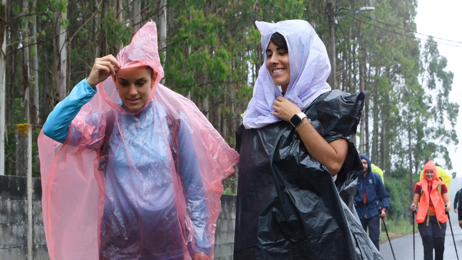 El tiempo este viernes 5 de diciembre en España | Ver