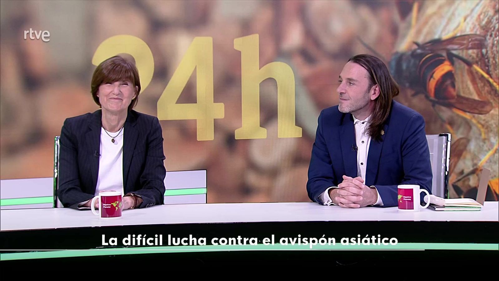 Objetivo Planeta - La difícil lucha contra el avispón asiático - Objetivo Planeta | Ver