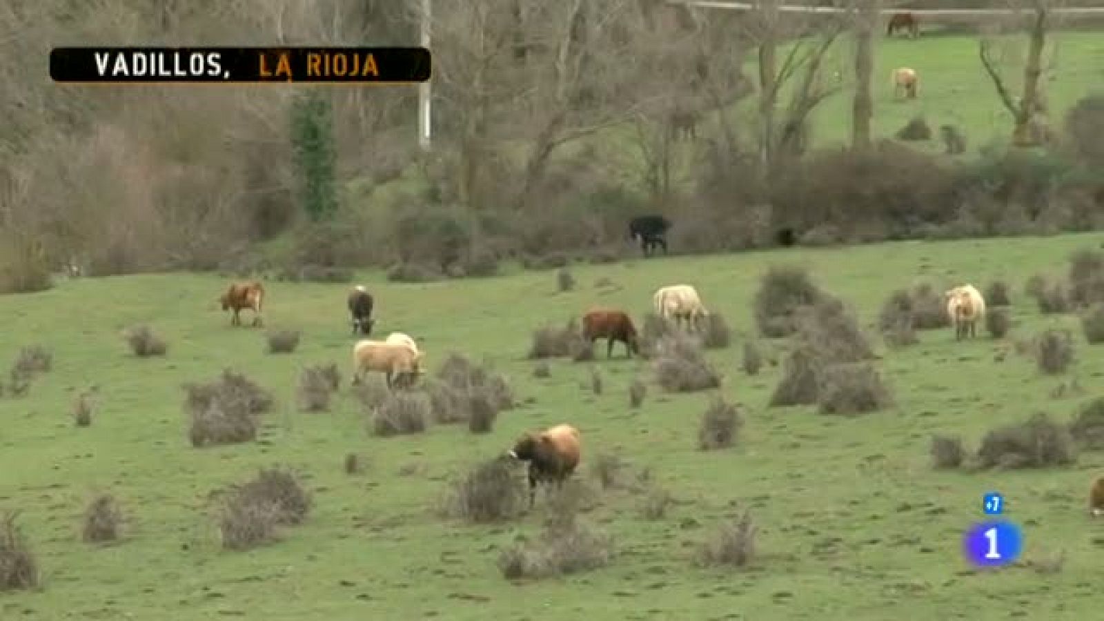 Comando actualidad - Antonio, el cura