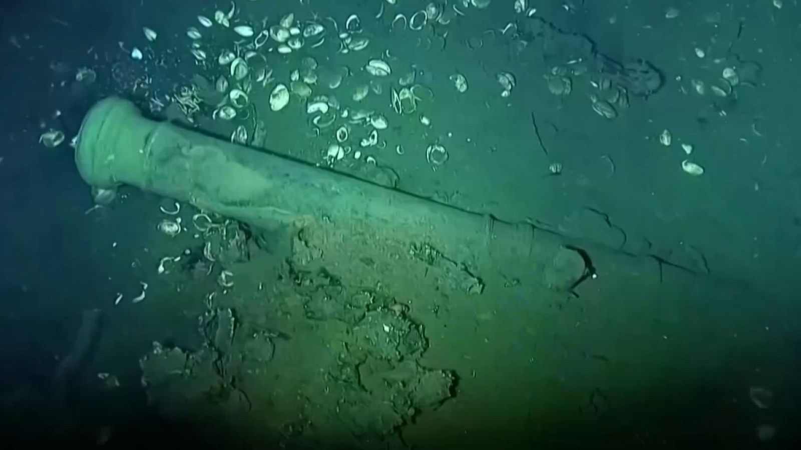 La extracción del pecio del galeón San José muestra sus primeros tesoros | Ver