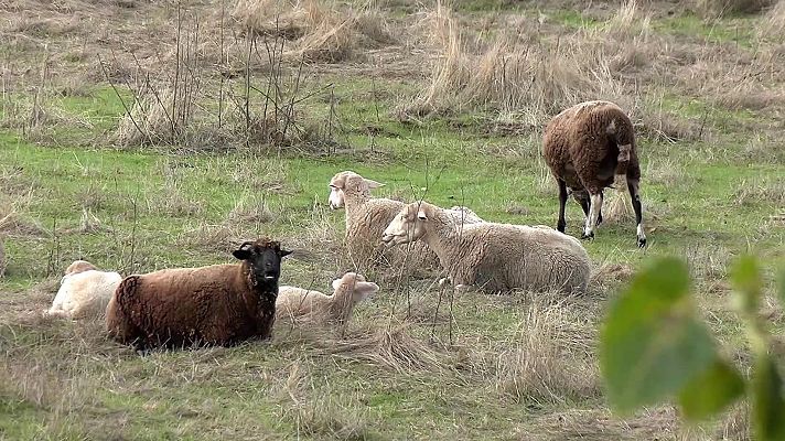 Agrosfera - Agrosfera - 06/12/25