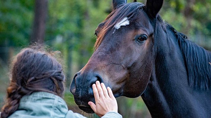 Para todos La 2 - Para todos La 2 - 06/12/25
