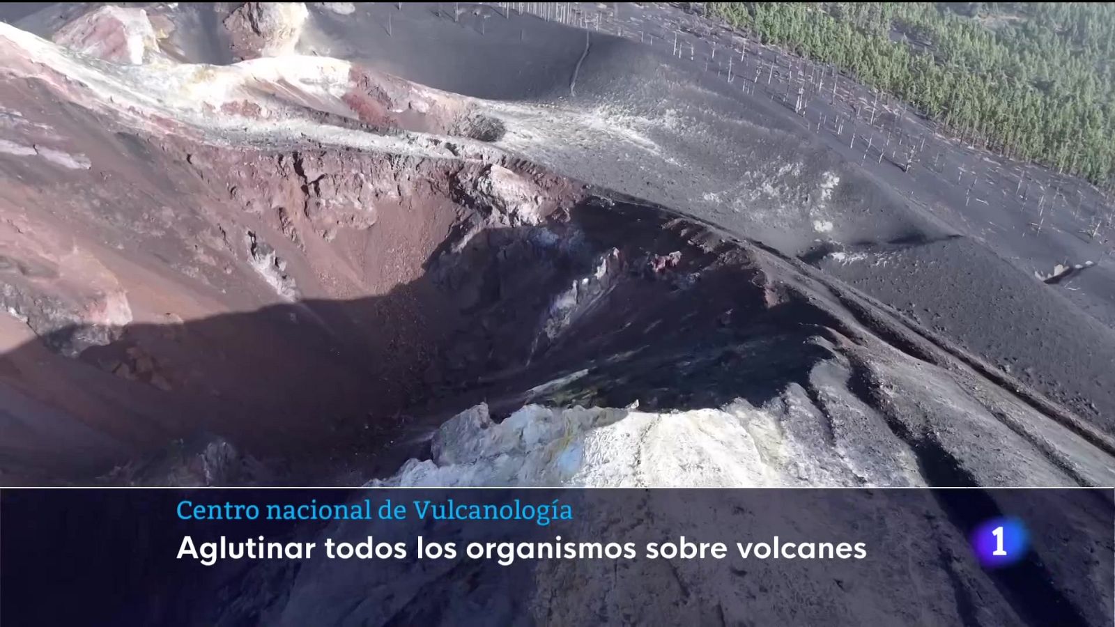 Telecanarias - 06/12/2025 | Ver