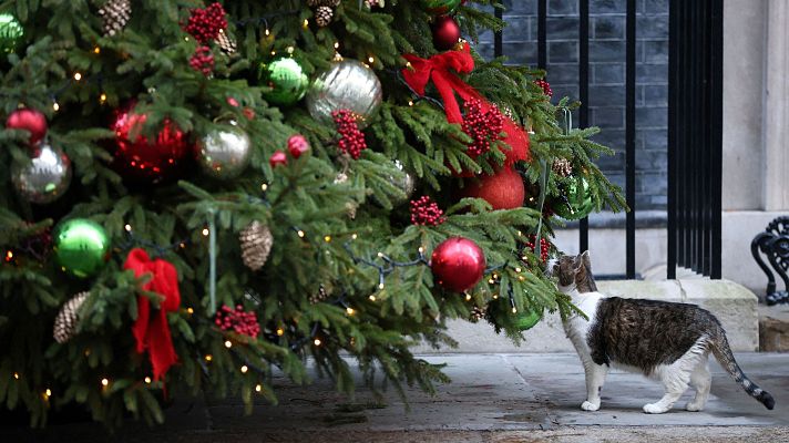 Telediario Fin de Semana - Los árboles de Navidad, protagonistas indiscutibles de las fiestas sean artificiales o naturales