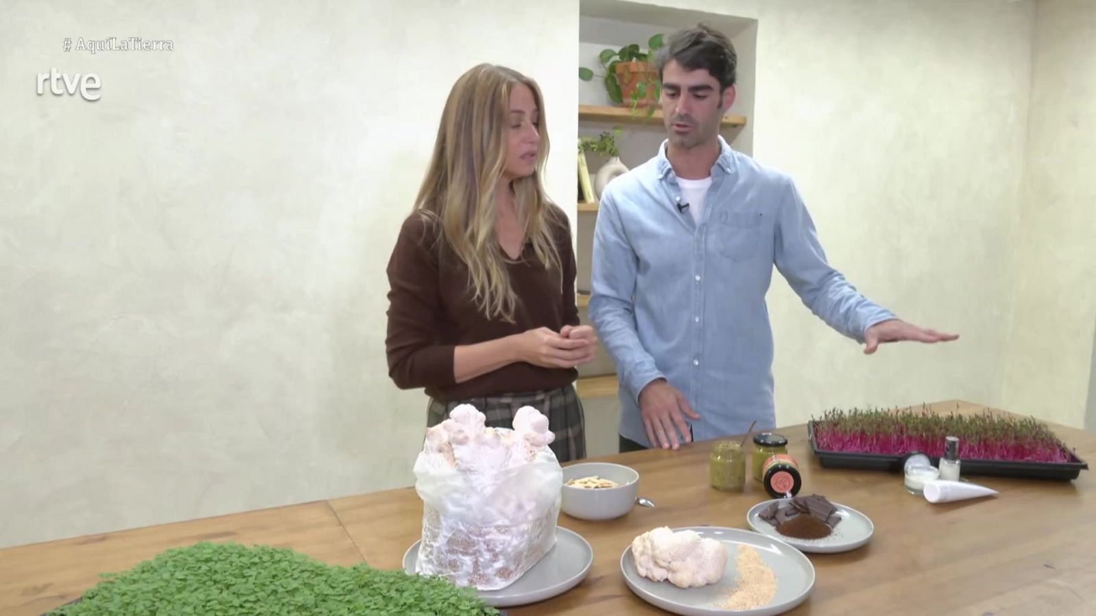 Aquí la Tierra - 07/12/25 - Aquí la Tierra | Ver