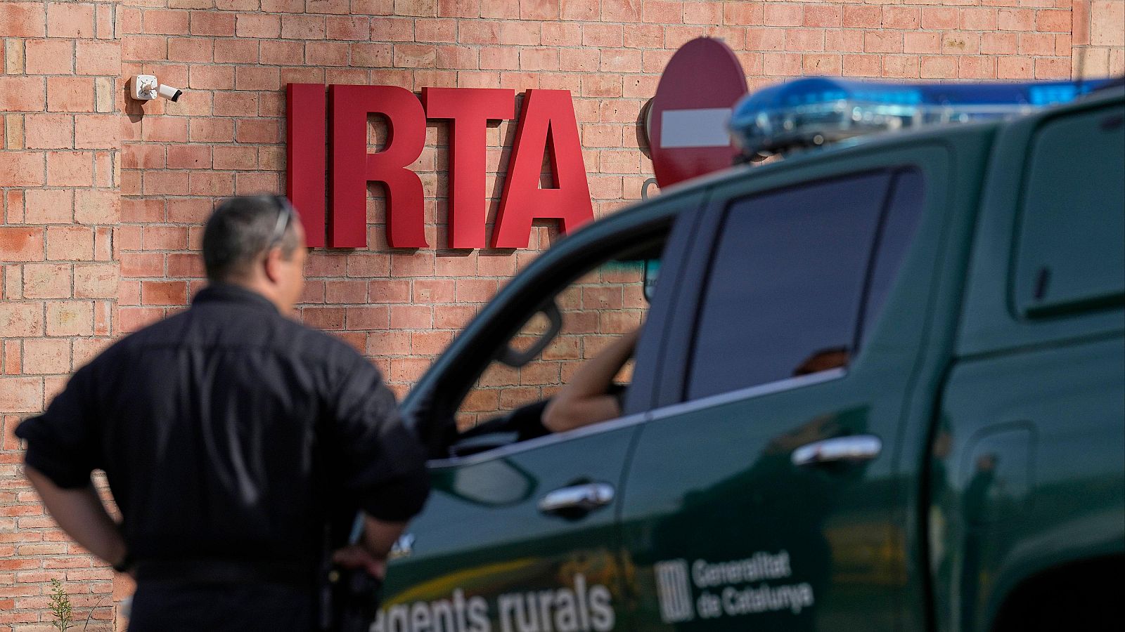 Peste porcina africana: conformado el grupo de expertos del comité científico que abordará el origen del brote - El mundo en 24 horas | Ver