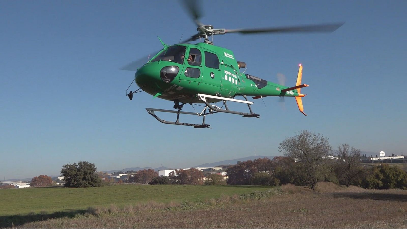 Els Agents Rurals vigilen Collserola des de l’aire per garantir les restriccions pel brot de PPA