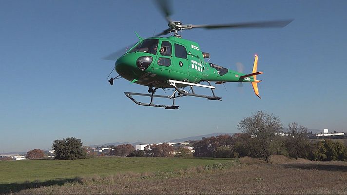 L'Informatiu - Els Agents Rurals vigilen Collserola des de l’aire per garantir les restriccions pel brot de PPA