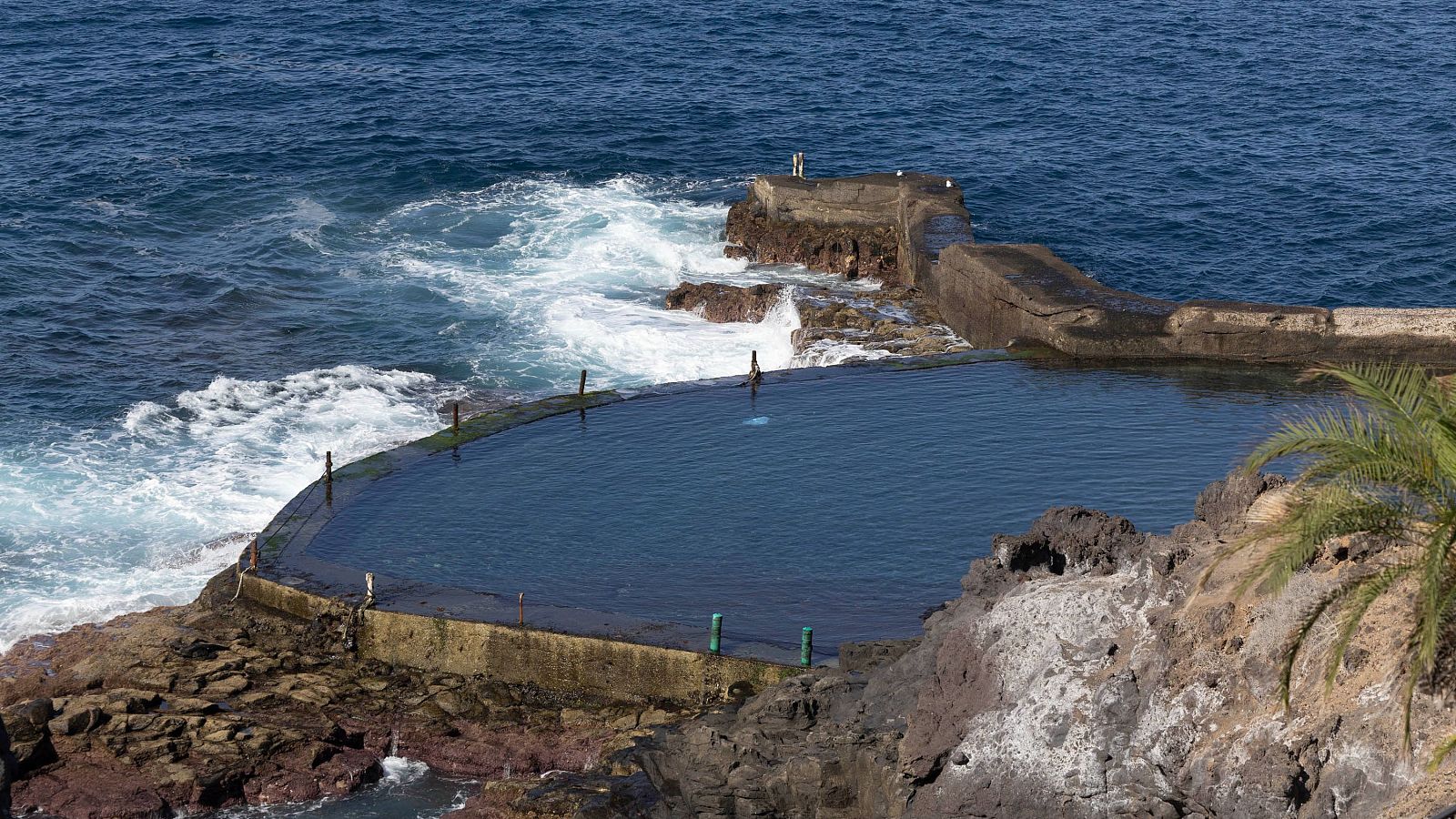 Informativo 24 horas - 14h - 08/12/25 - Informativo 24h | Ver