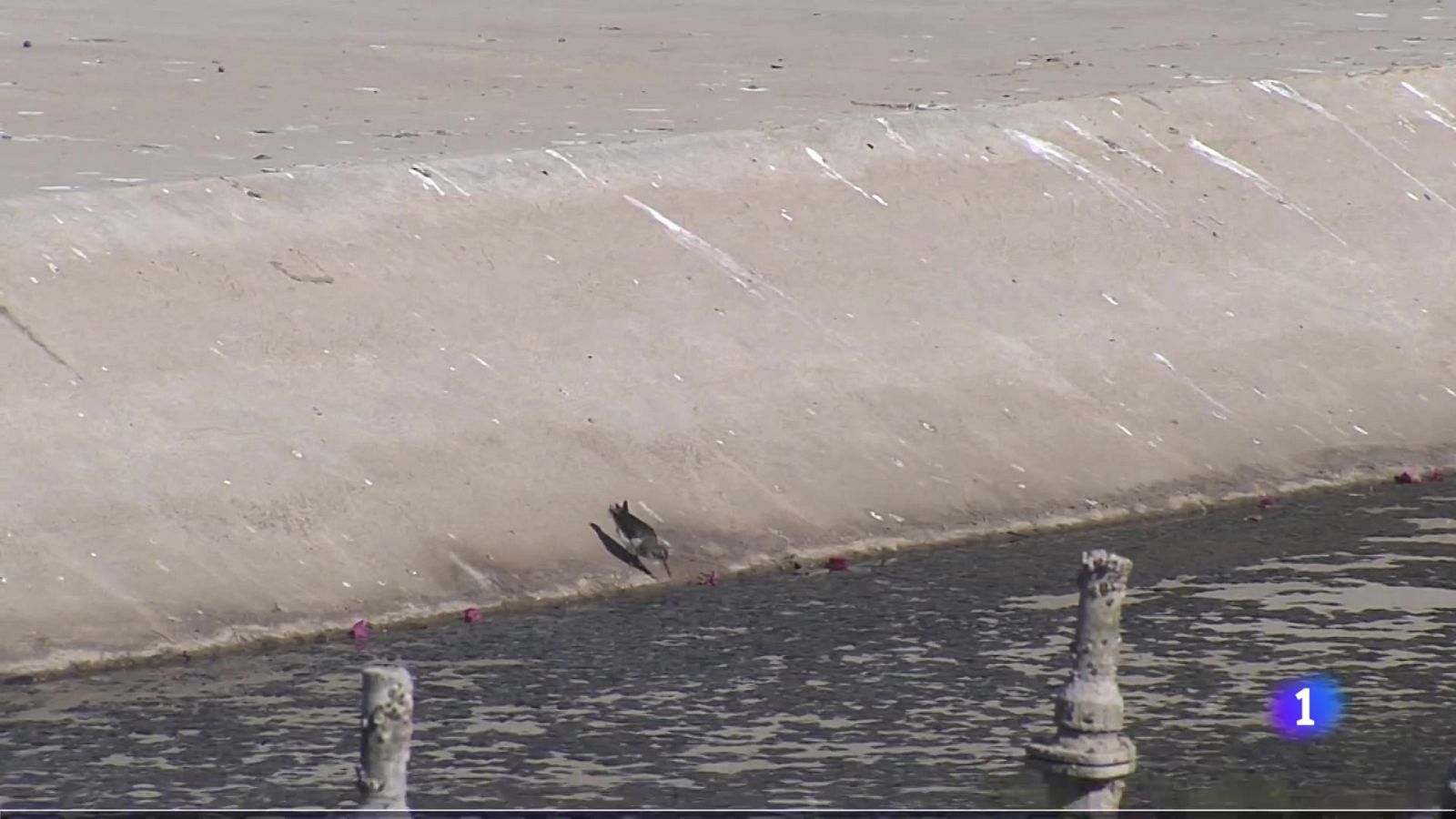 La Noticia de Melilla - 09/12/2025 | Ver