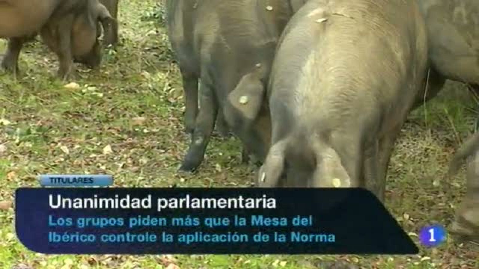 Noticias de Extremadura: Noticias de Extremadura - 07/02/13 | RTVE Play