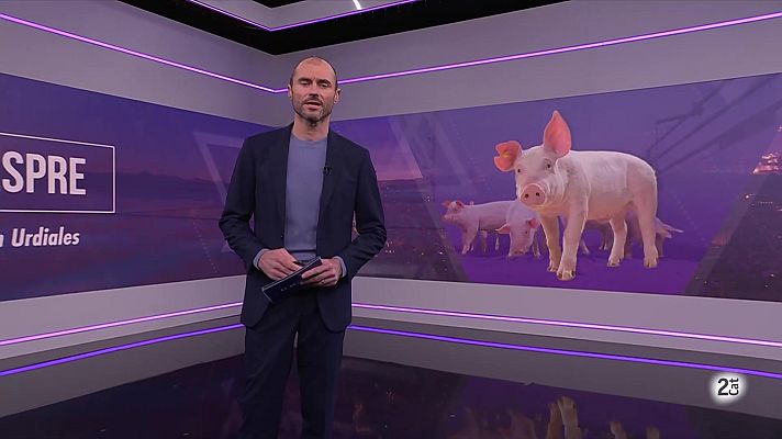 El Vespre - El Vespre - 09/12/2025