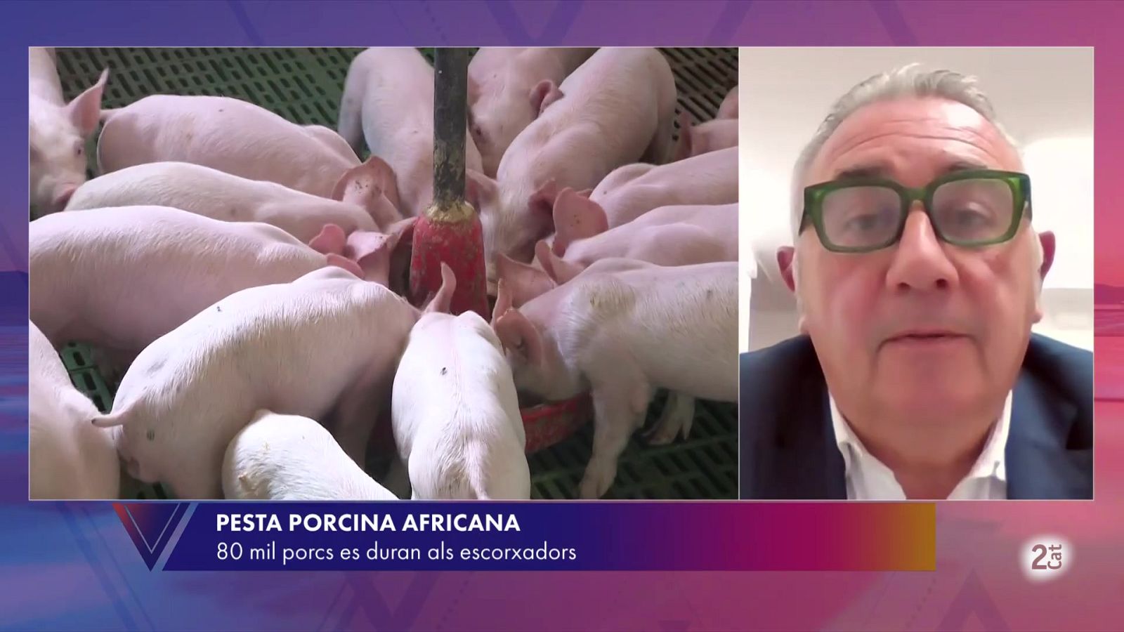 Pere Roqué: "Les granges del nostre país compleixen un sistema de bioseguretat extremadament rigorós"