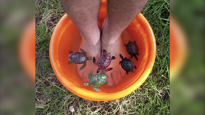 La aventura del Saber - Boek Visual: José Eugenio Mañas