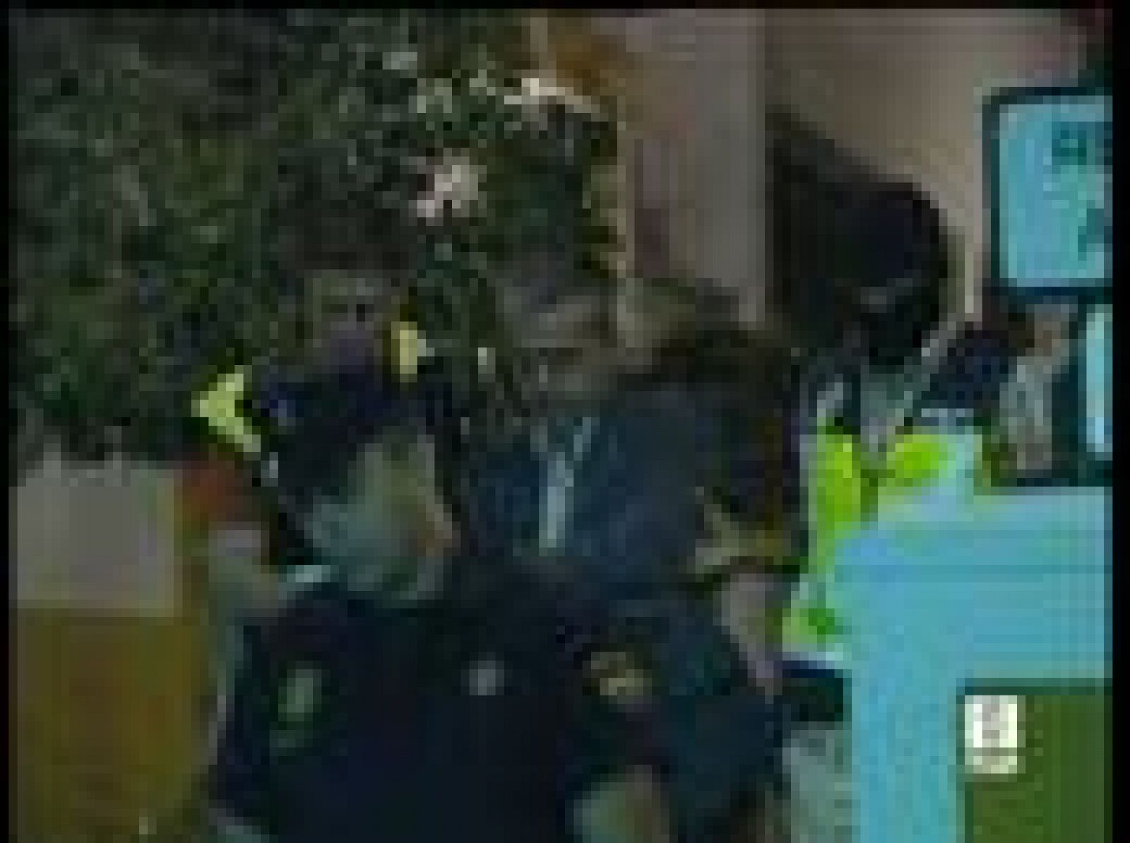 La denuncia de dos concejales permitió destapar la presunta trama de corrupción en Estepona | Ver