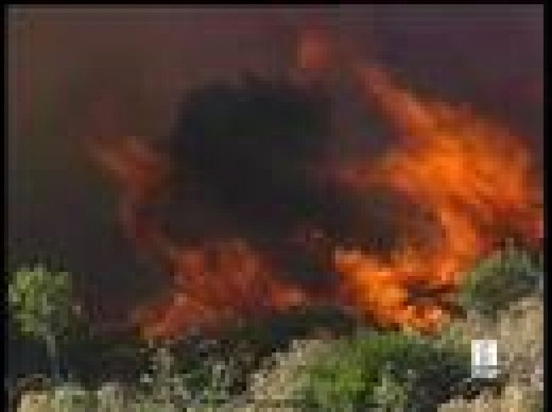  Un incendio amenaza la zona de Tarifa