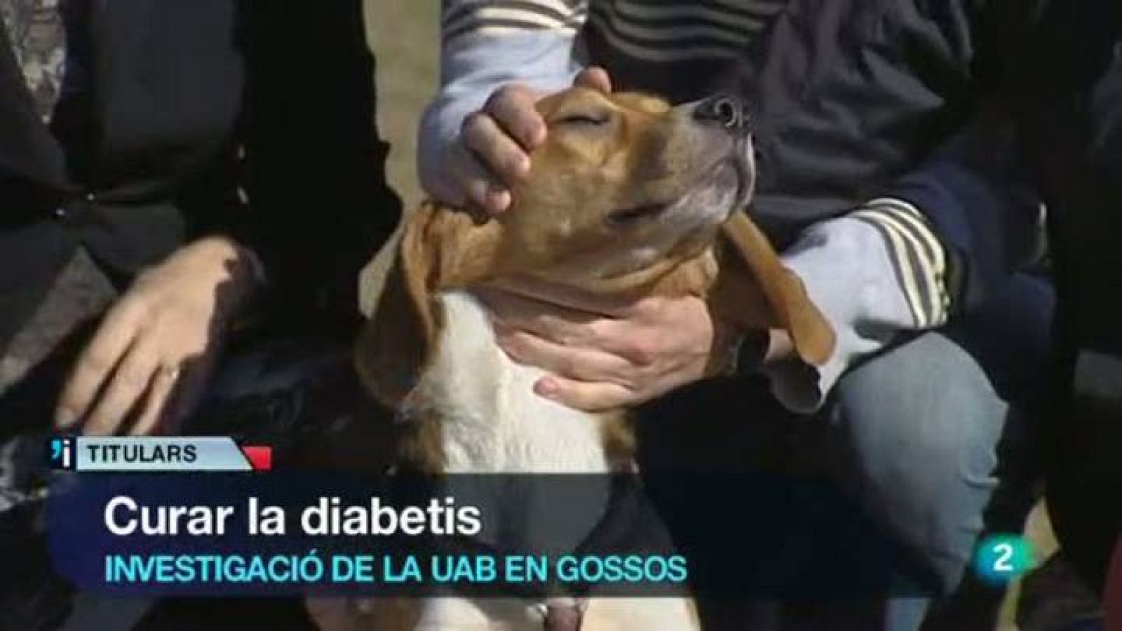 L'Informatiu vespre - 8/02/2013