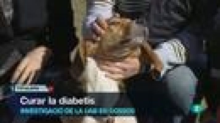 L'Informatiu - L'Informatiu vespre - 8/02/2013