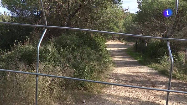 L'Informatiu - L'Informatiu 2 - 12/12/2025