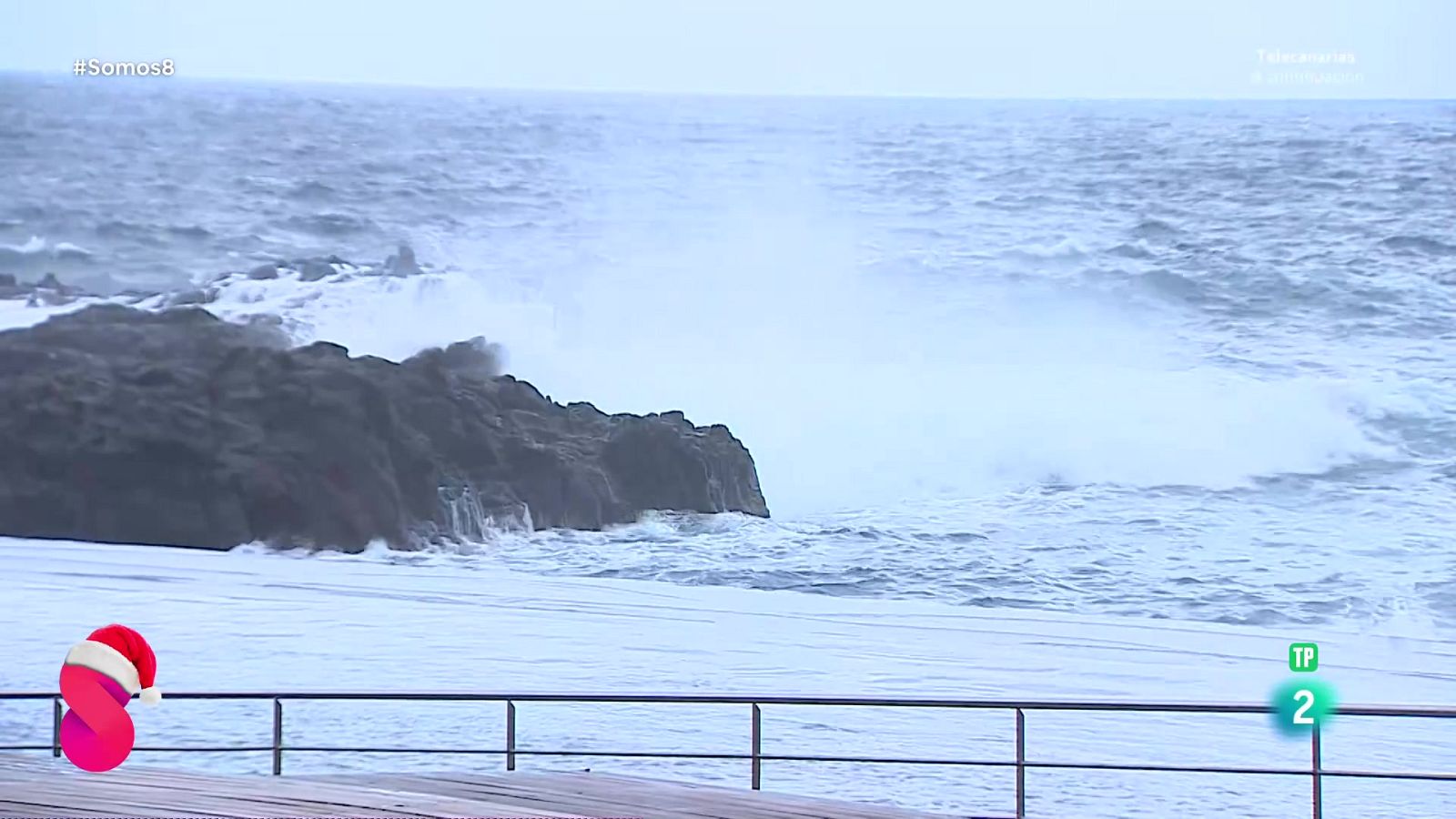 Somos 8 - 12/12/2025 - Somos 8 | Ver