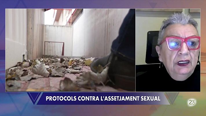 El Vespre - Marisa Fernández: "Els protocols contra la violència de gènere només funcionen si hi ha cultura organitzativa"