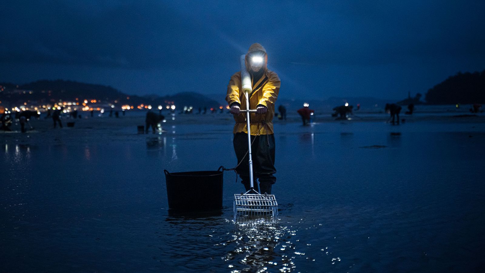 El precio de los pescados y mariscos se disparan en noviembre - Telediario 2 | Ver