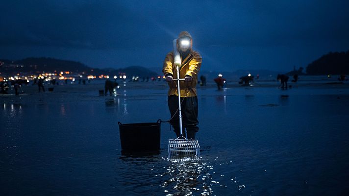 Telediario 2 - El precio de los pescados y mariscos se disparan en noviembre de cara a las fiestas navideñas