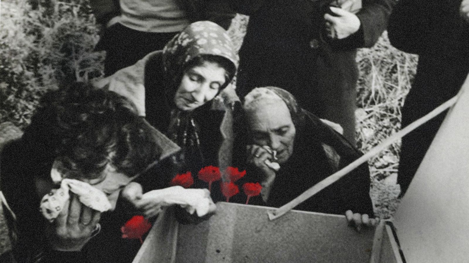 'A flor de tierra', documental sobre las fosas, en Navarra - Modo Digital | Ver