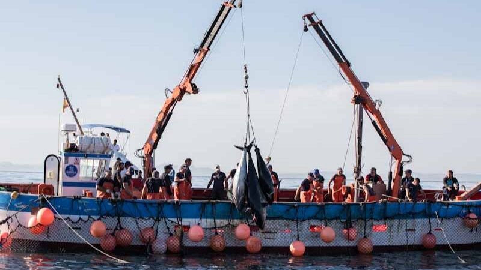 Telediario matinal en cuatro minutos - 13/12/2025 | Ver