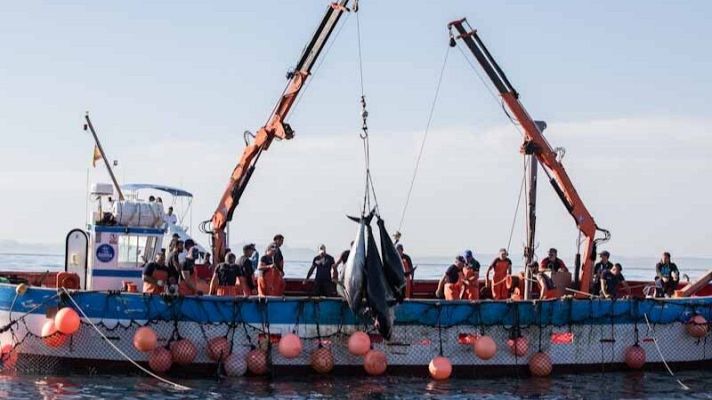 Telediario Matinal - Telediario matinal en 4' - 13/12/2025
