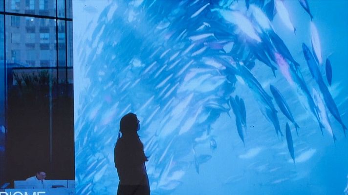 Zoom net - OFFF Sevilla, el rastreo de datos, los espejos de SpecialGuestX, Skate Story