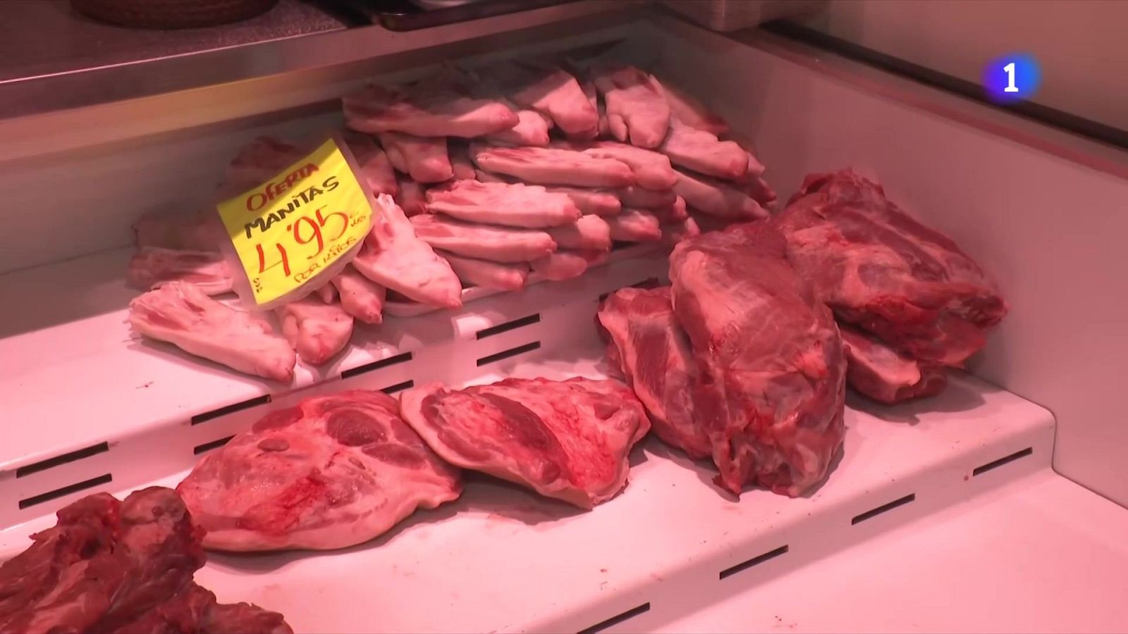 El sector porcí manté la preocupació per l'impacte de la crisi de la pesta als senglars