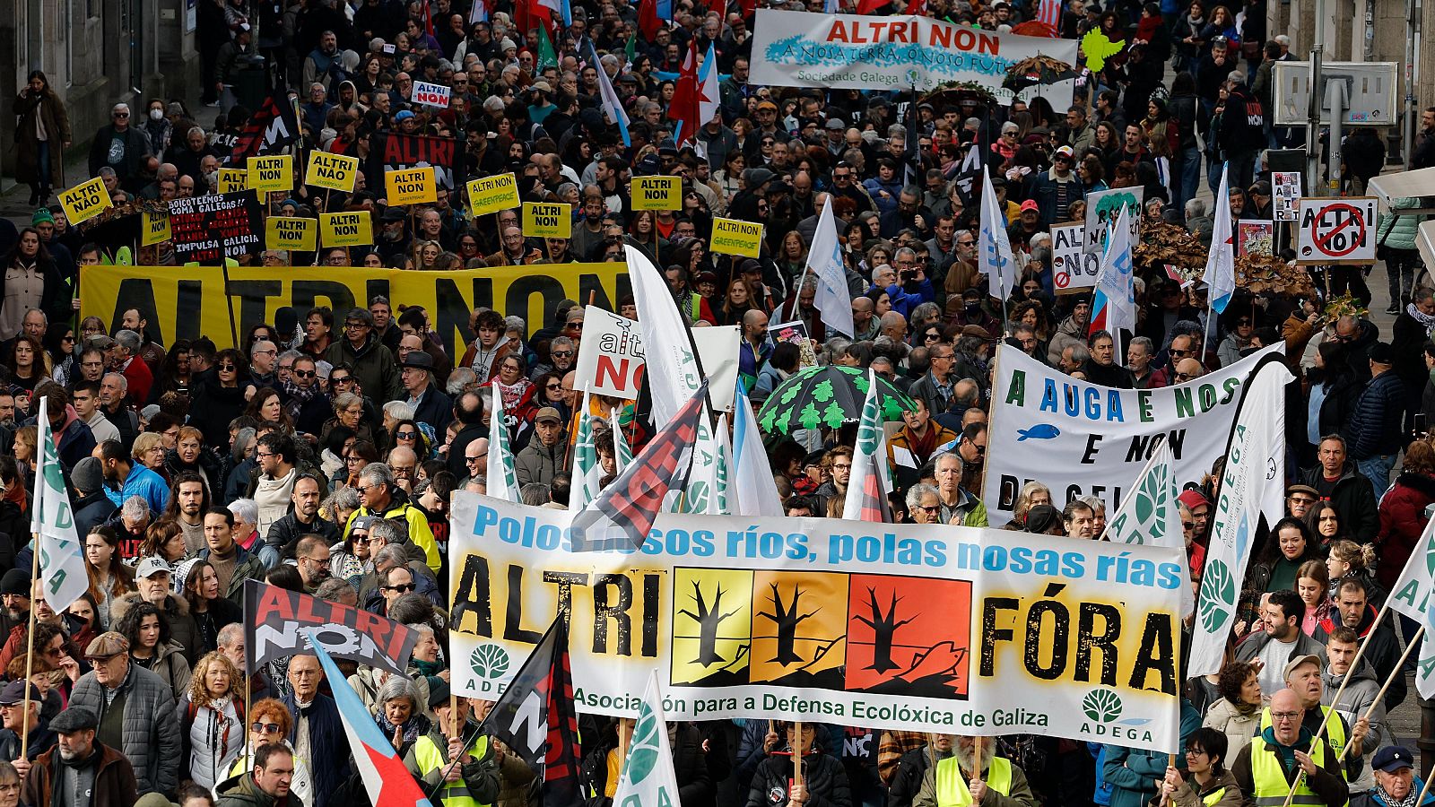 Manifestación en Santiago de Compostela contra el proyecto de Altri - Fin de semana 24h | Ver